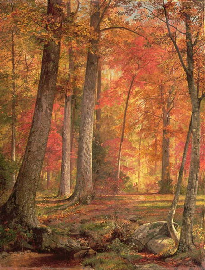 Detail of Path in the Forest, 1865 by William Trost Richards