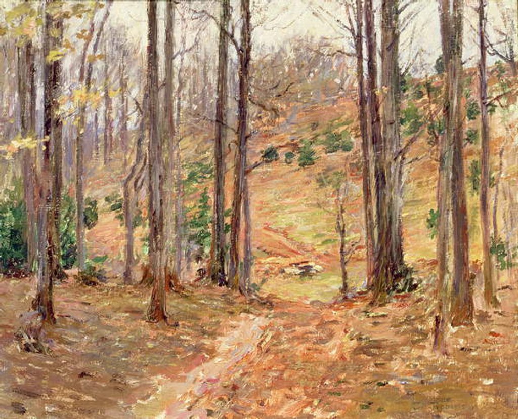 Detail of Virginia Woods, 1893 by Theodore Robinson