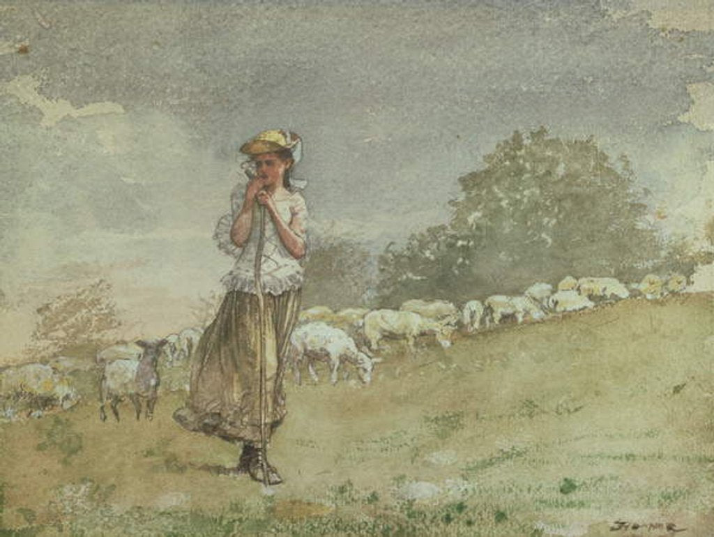 Detail of Tending Sheep, Houghton Farm, c.1878-79 by Winslow Homer