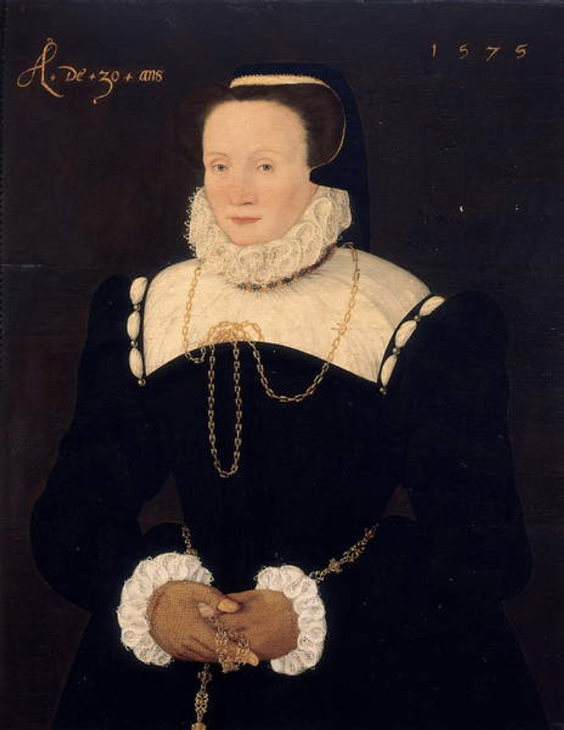Detail of Portrait of a lady, 1575 by Cornelis Ketel
