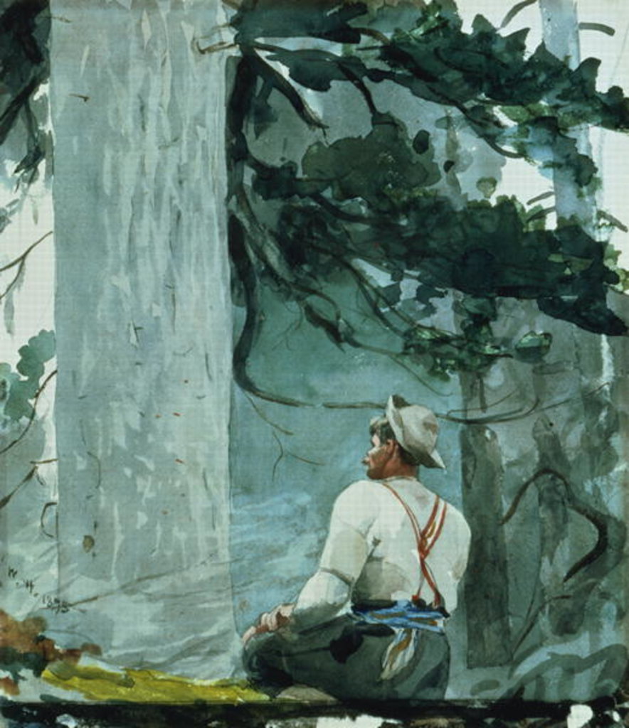 Detail of The Guide, 1895 by Winslow Homer