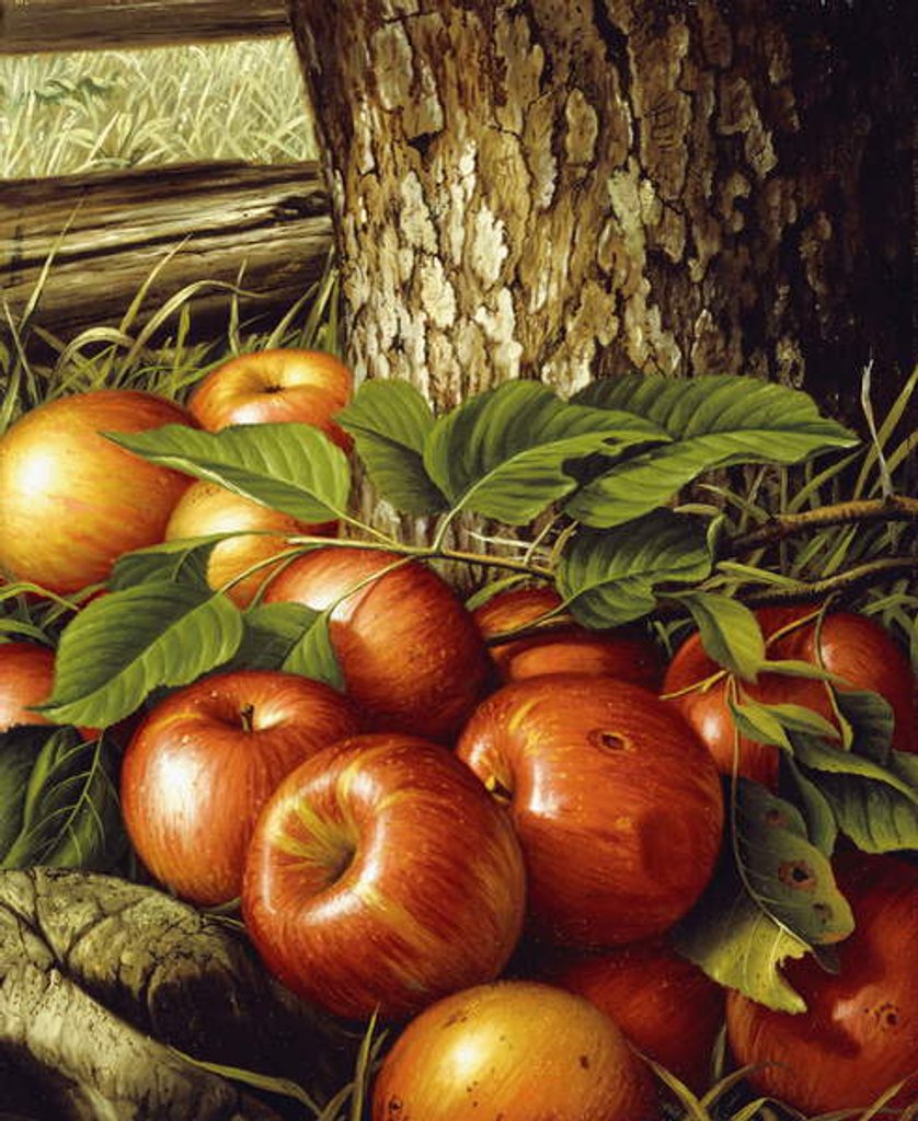 Detail of Apples and Tree Trunk, 1891 by Levi Wells Prentice