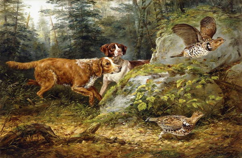 Detail of Flushed: Ruffed Grouse Shooting, 1857 by Arthur Fitzwilliam Tait