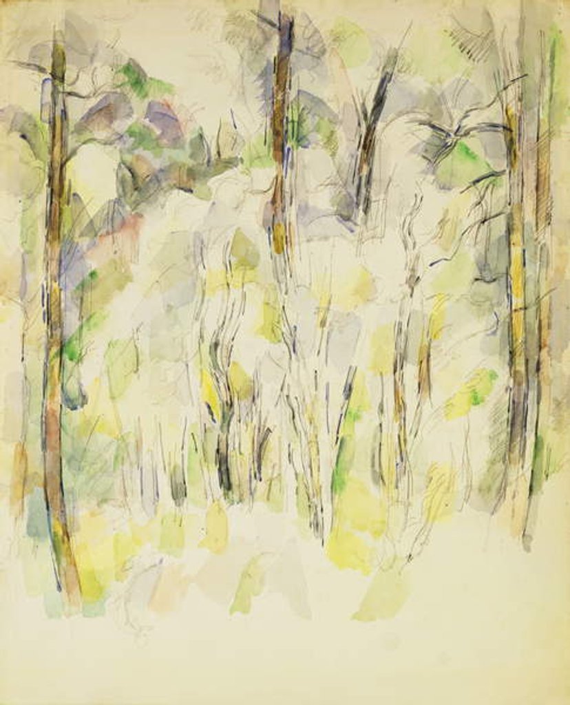 Detail of Woodland Scene, c.1900-1904 by Paul Cezanne