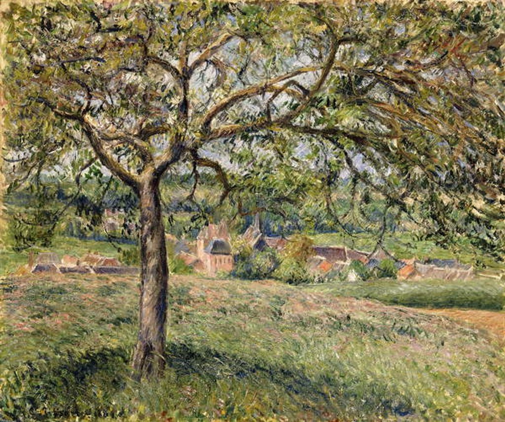 Detail of Apple Tree in Eragny, 1884 by Camille Pissarro