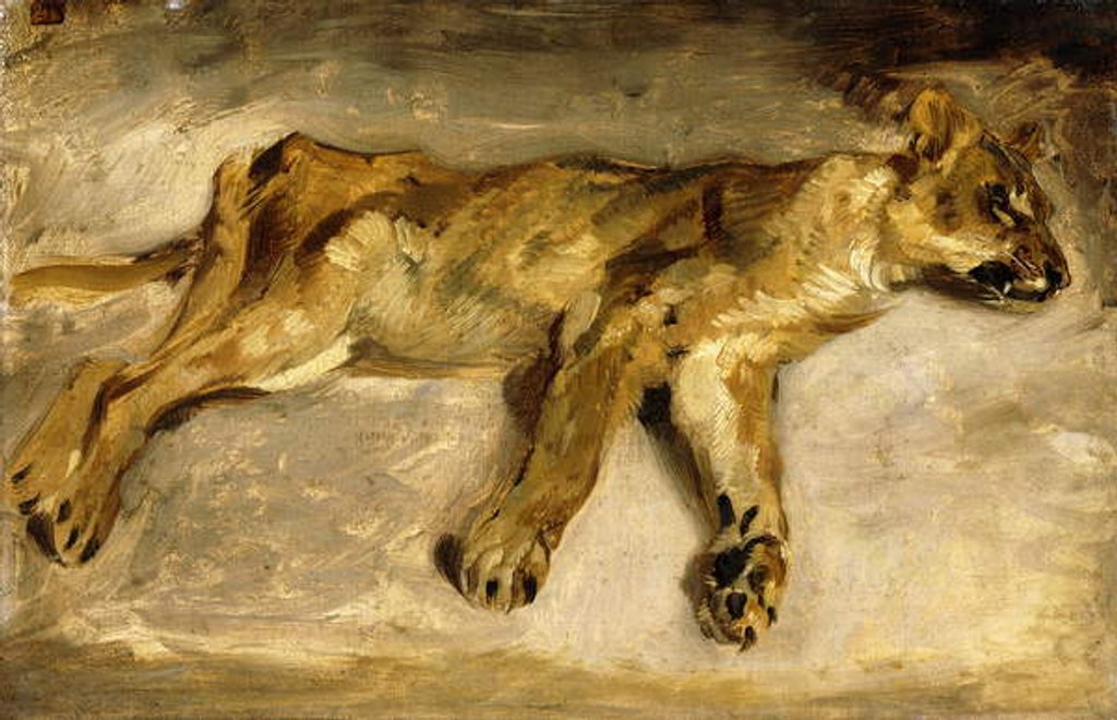 Detail of A Sleeping Lioness, c.1830 by Ferdinand Victor Eugene Delacroix