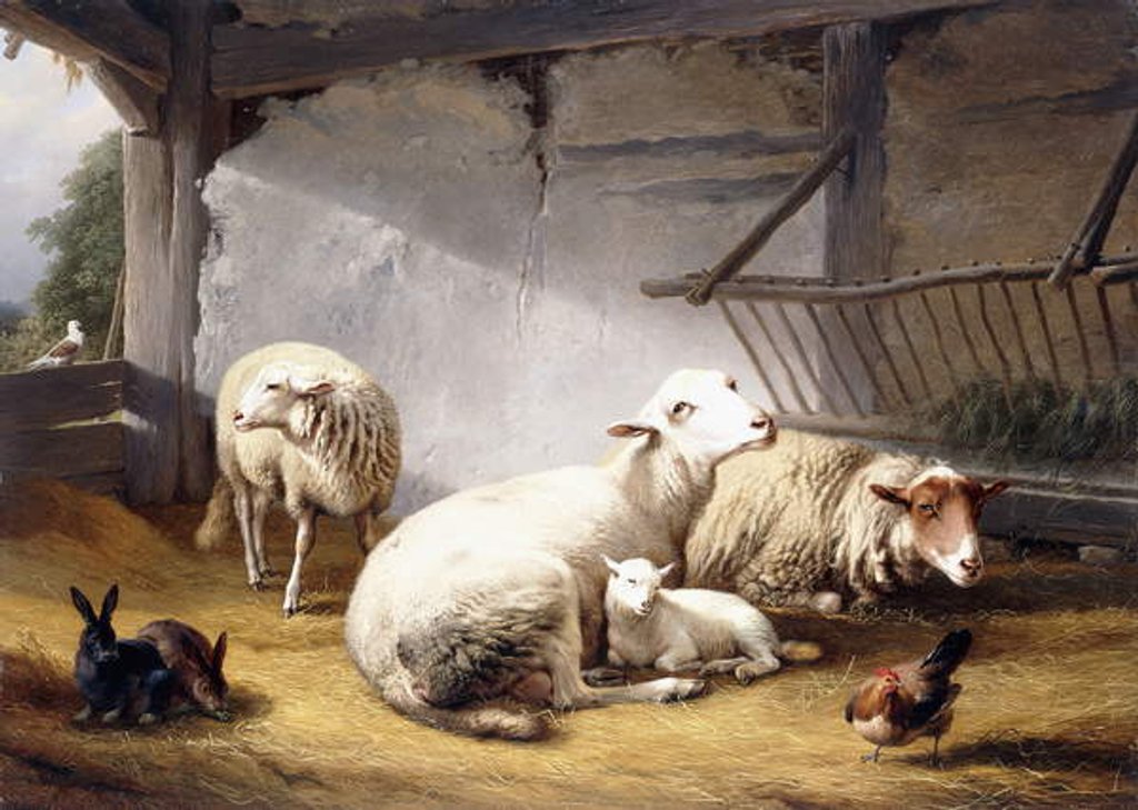 Detail of Sheep, Rabbits and a Chicken in a Barn, 1859 by Eugene Joseph Verboeckhoven