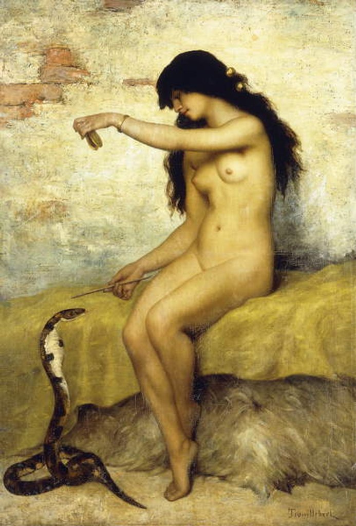 Detail of The Snake Charmer by Paul Desire Trouillebert