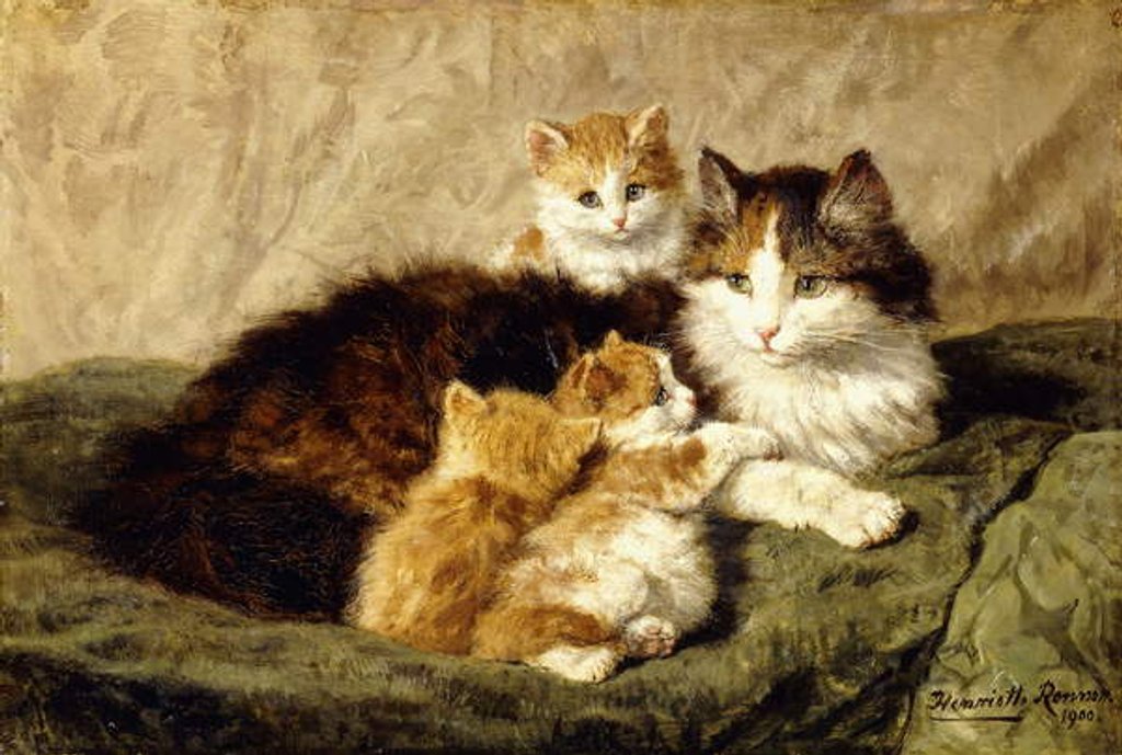 Detail of Contentment, 1900 by Henriette Ronner-Knip