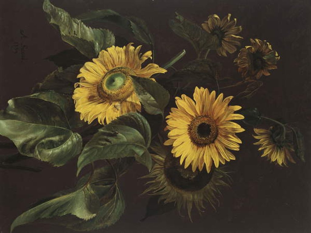 Detail of Sunflowers, 1839 by Louis-Apollinaire Sicard