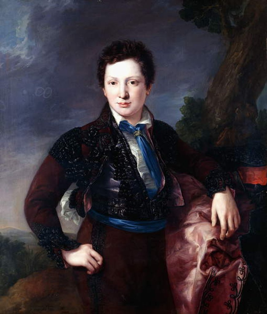 Detail of Portrait of Don Matias Edmundo Tirel y Gomez de las Casas, the future Second Marquis of Ulagares and Viscount of Castel Ruiz by Luis Lopez Piquer