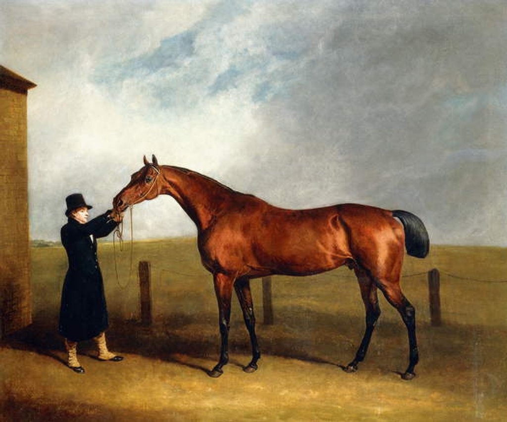 Detail of Colonel Udny's Bay Colt Truffle by Sorcerer Held by a Groom, 1815 by Abraham Cooper