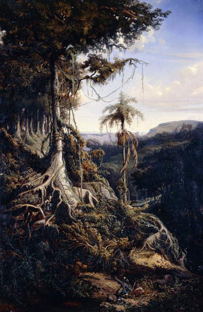 Detail of Jala-Jala Forest, c.1839-42 by Auguste Borget