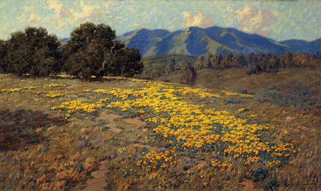Detail of California Poppies by Granville Redmond