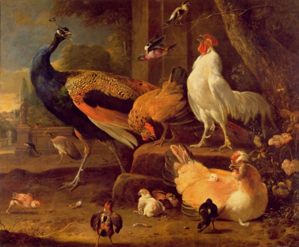 Detail of Poultry, c.1670 by Melchior de Hondecoeter