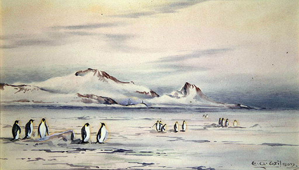 Detail of The Discovery Winter Quarters, c.1901-04 by Edward Adrian Wilson