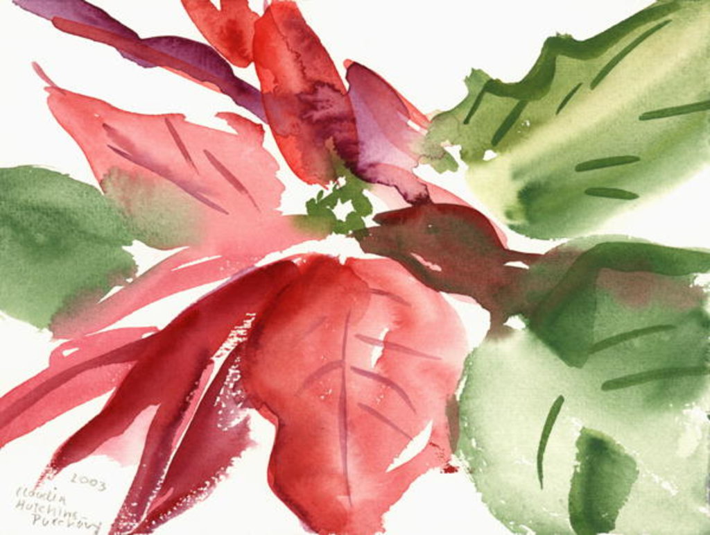 Detail of Poinsettia, 2003 by Claudia Hutchins-Puechavy