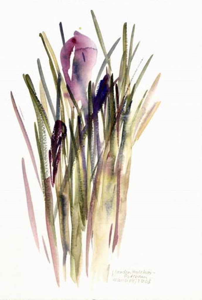 Detail of Crocus, 2003 by Claudia Hutchins-Puechavy