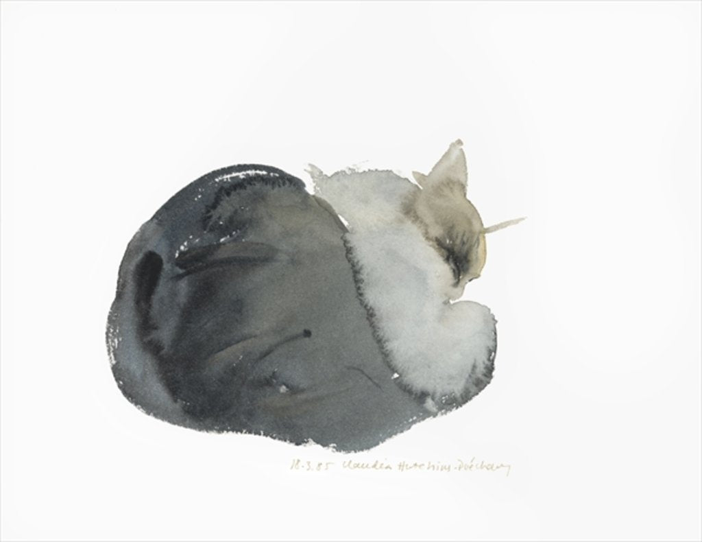 Detail of Sleeping cat, 1985 by Claudia Hutchins-Puechavy