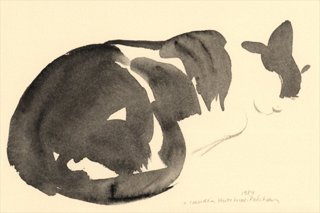 Detail of Sleeping cat, 1984 by Claudia Hutchins-Puechavy