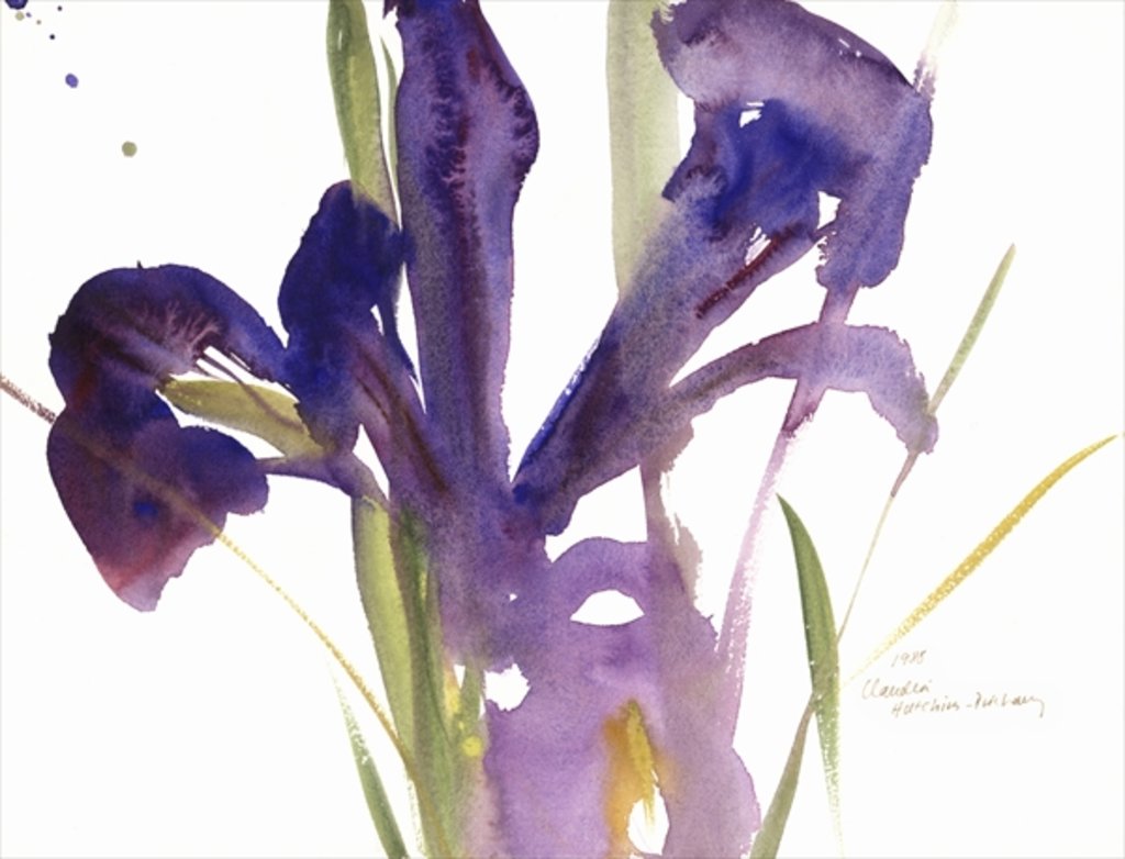 Detail of Iris, 1987 by Claudia Hutchins-Puechavy