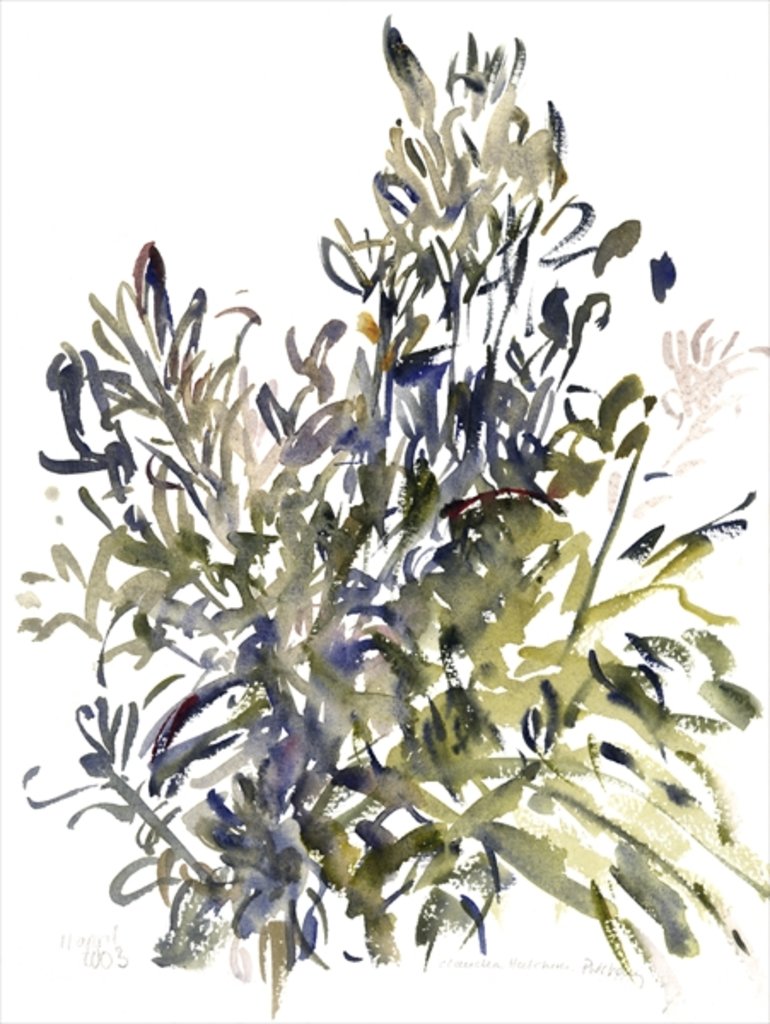 Detail of Senecio and other plants, 2003 by Claudia Hutchins-Puechavy