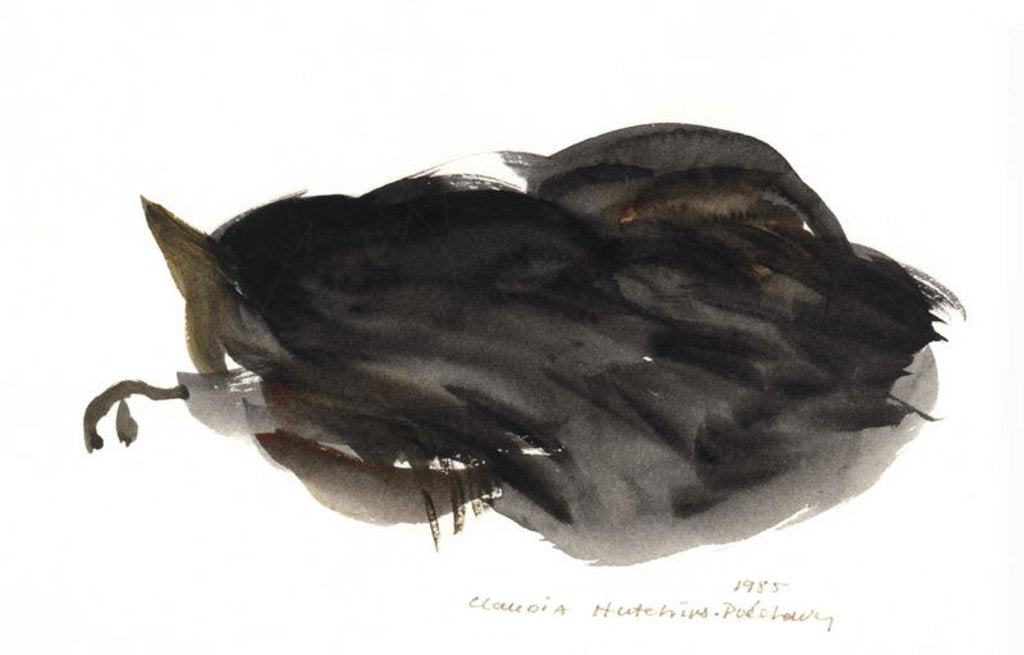 Detail of Sleeping Cat, 1985 by Claudia Hutchins-Puechavy