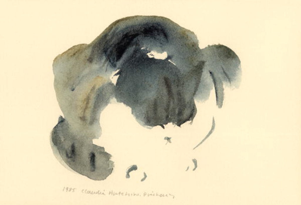 Detail of Cat, 1985 by Claudia Hutchins-Puechavy