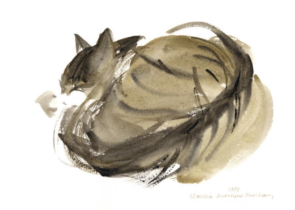 Detail of Sleeping cat, 1984 by Claudia Hutchins-Puechavy
