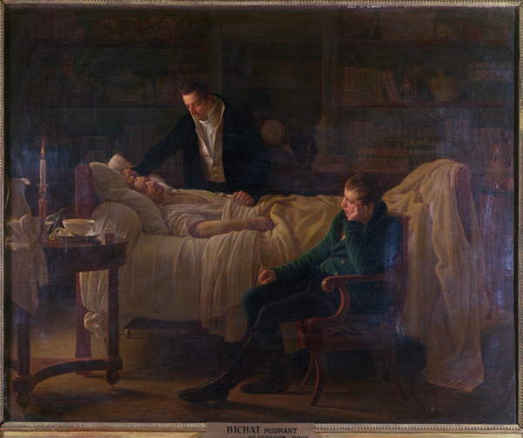 Detail of Marie Francois Xavier Bichat dying surrounded by the doctors Esparon and Philibert Joseph Roux by Louis Hersent