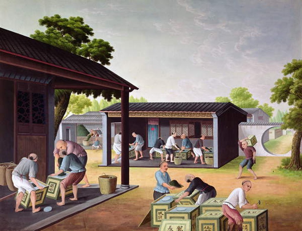 Detail of Packing Tea into Boxes by School Chinese