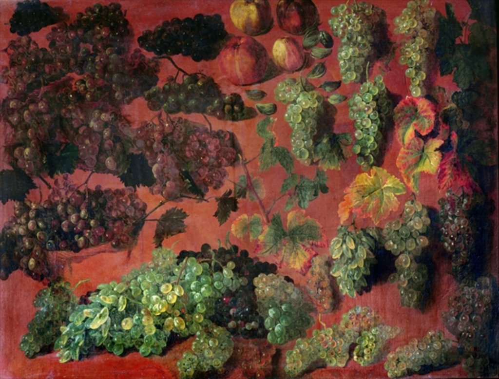 Detail of Still Life with Bunches of Grapes by Alexandre-Francois Desportes