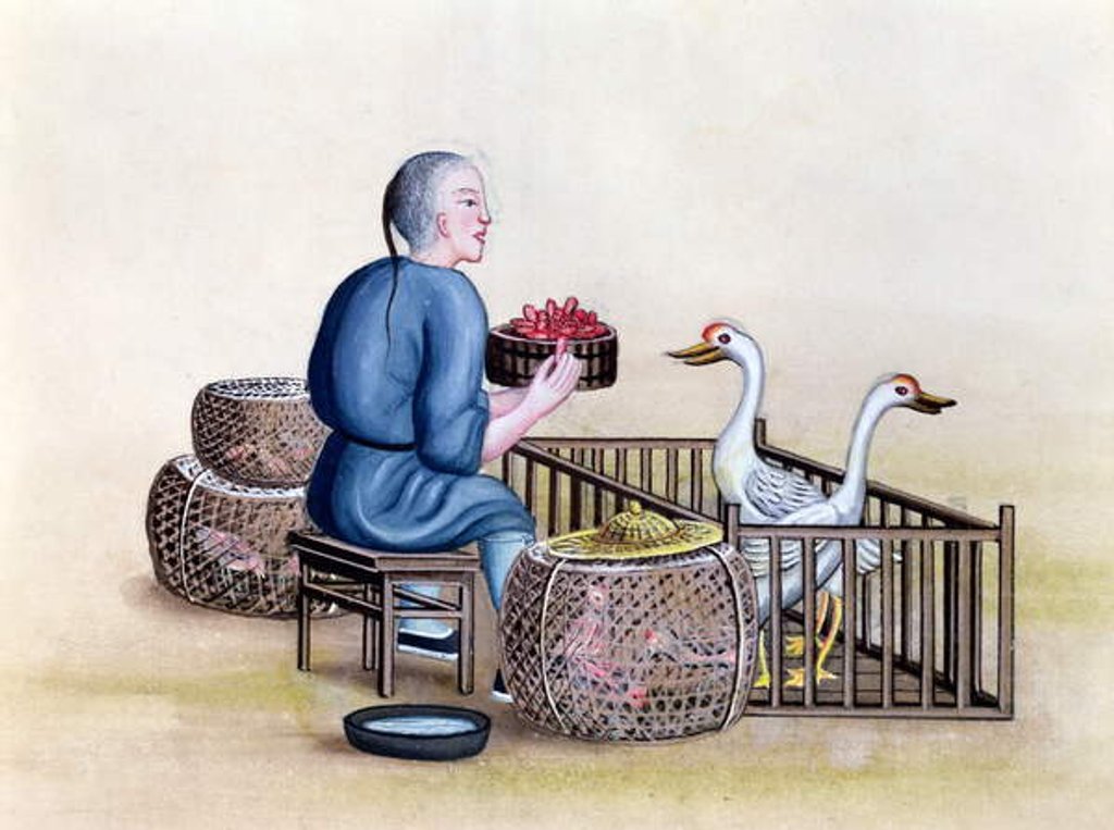 Detail of The Poultry Merchant, from a book on the street calls of Peking, c.1785 by French School