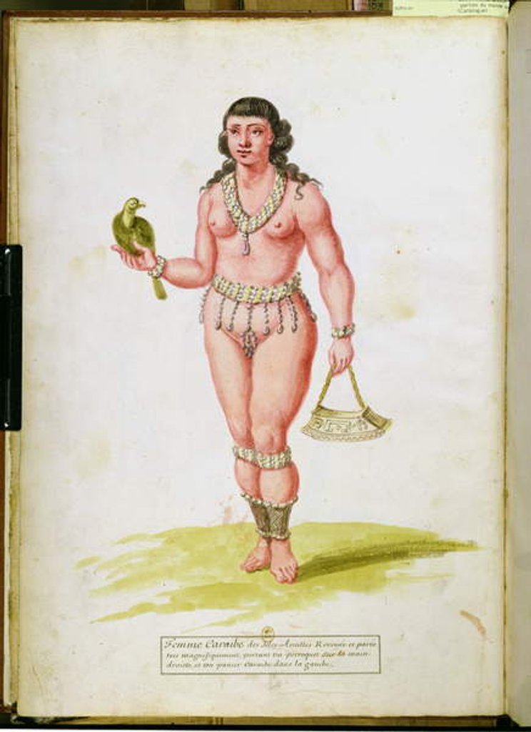 Detail of Native of the Caribbean with a parrot by Charles Plumier