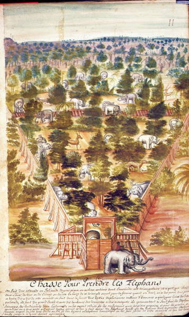 Detail of Elephant Hunt in Siam, from an account of the Jesuits in Siam, 1688 by French School