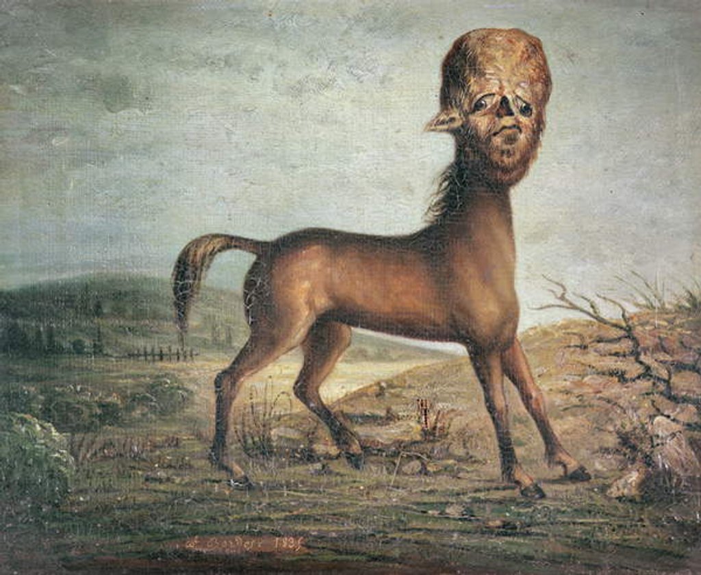 Detail of Hydrocephalic mare, born 21st January 1821, 1835 by French School