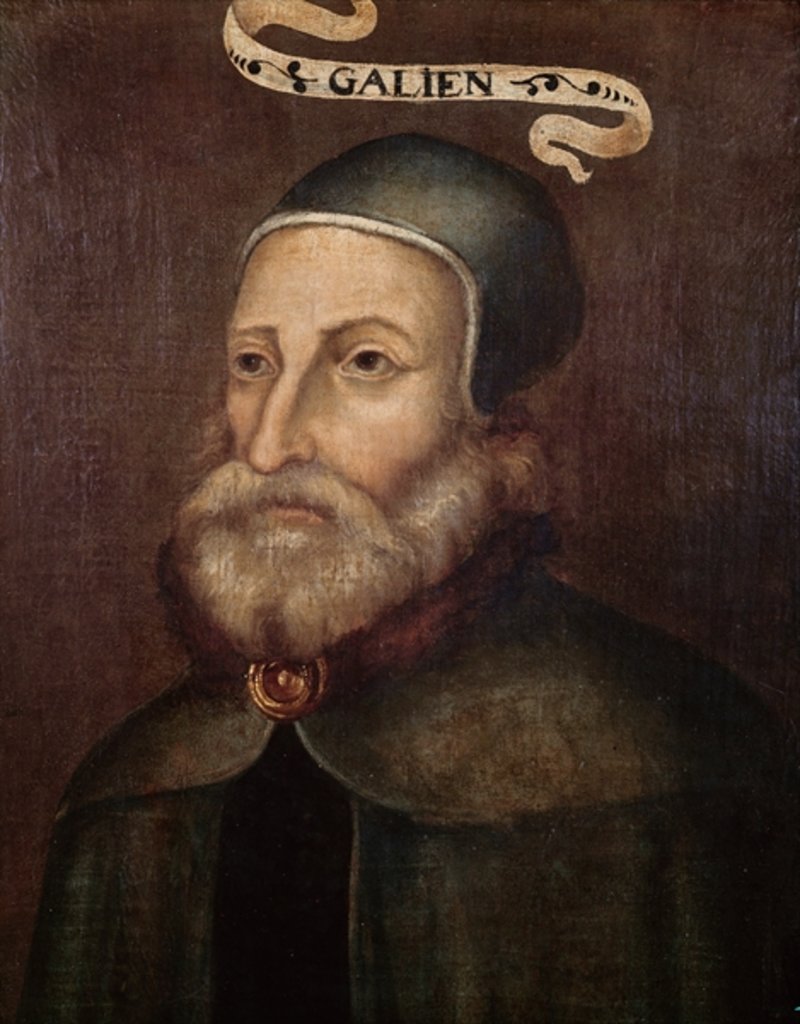 Detail of portrait of Claudius Galenus by French School