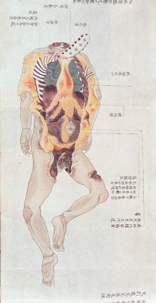 Detail of A disembowelled body from the dissection of a torture victim of 1796 by Japanese School