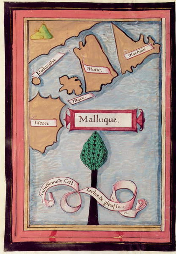 Detail of Ms 24224 Fol.73v Map of the Spice Islands from an account of the Voyage of Ferdinand Magellan by French School