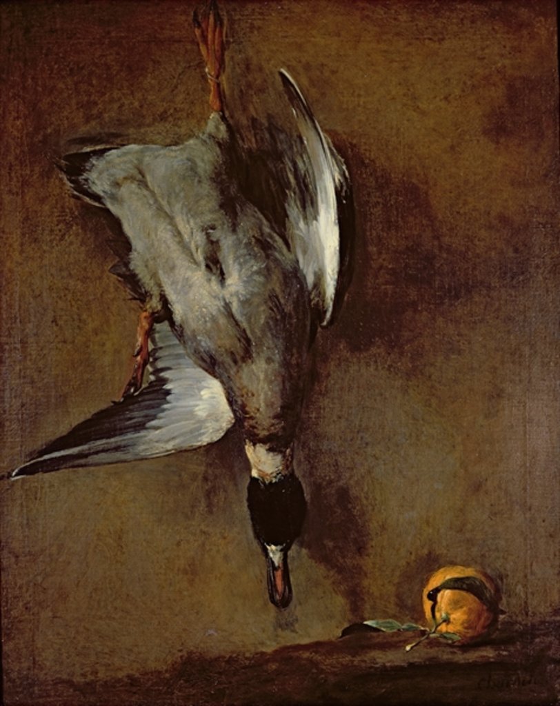 Detail of A mallard duck hanging on a wall with a Seville orange, 1720-30 by Jean-Baptiste Simeon Chardin