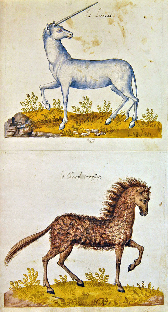 Detail of Drawings of a unicorn and a wild horse by French School