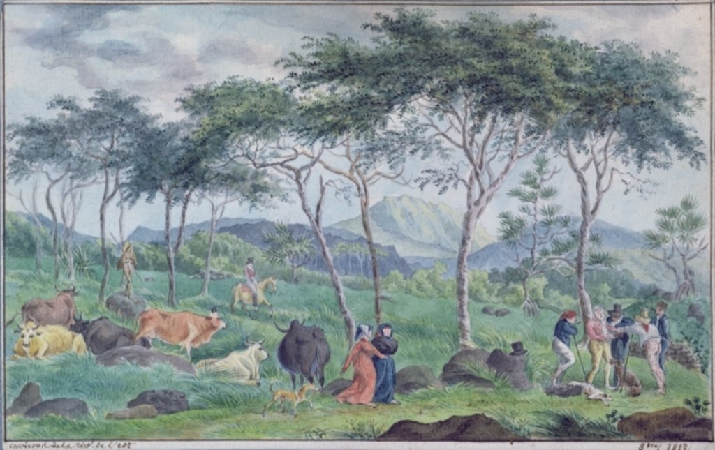 Detail of Herd of cattle with cowherds near the river on the east of the Ile de la Reunion, October 1812 by Jean-Joseph Patu de Rosemont