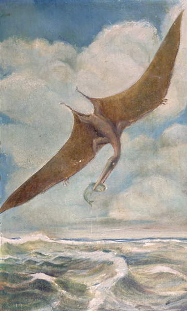 Detail of Pterodactyl fishing by French School