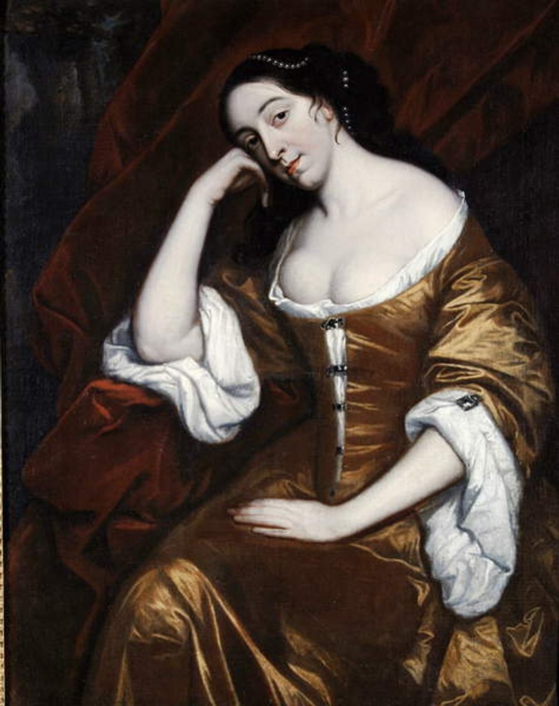 Detail of Portrait of a Lady, wearing a gold dress with red robes by Henry Anderton