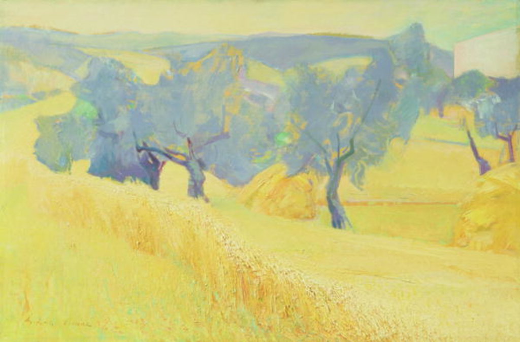 Detail of Olive Trees in Tuscany, 1966 by Antonio Ciccone