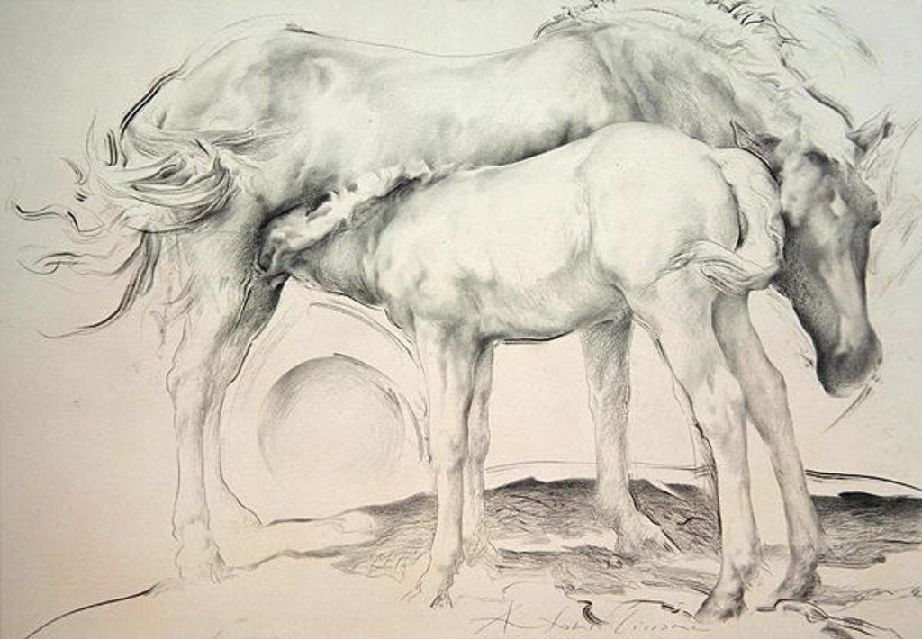 Detail of Horses at Coolmore, 1990 by Antonio Ciccone