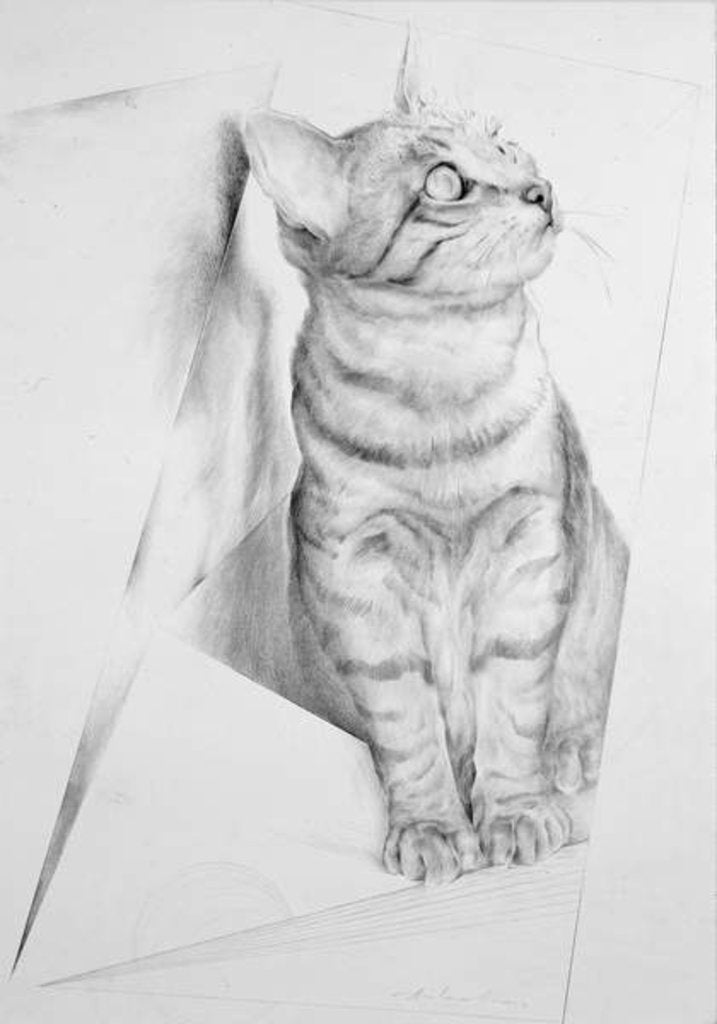 Detail of Luce Questioning by Antonio Ciccone