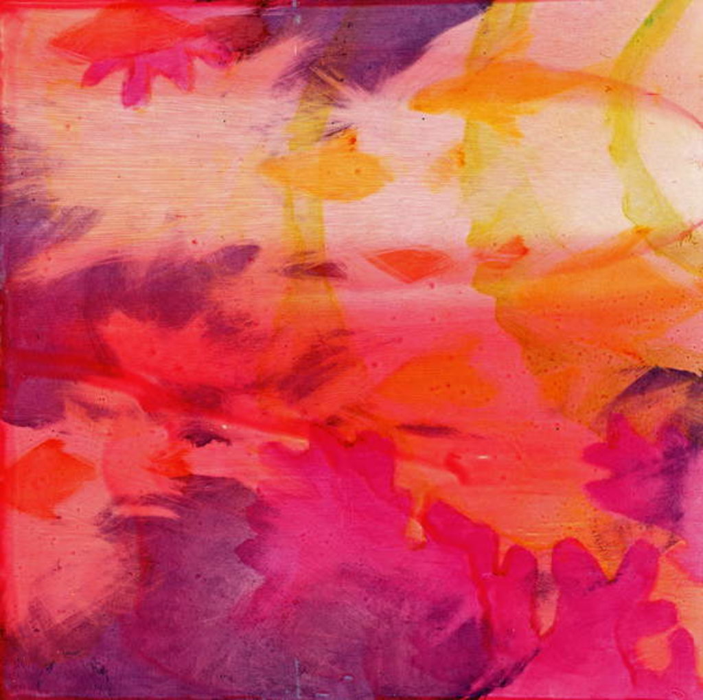 Detail of Vacos Fish, 2000 by Charlotte Johnstone