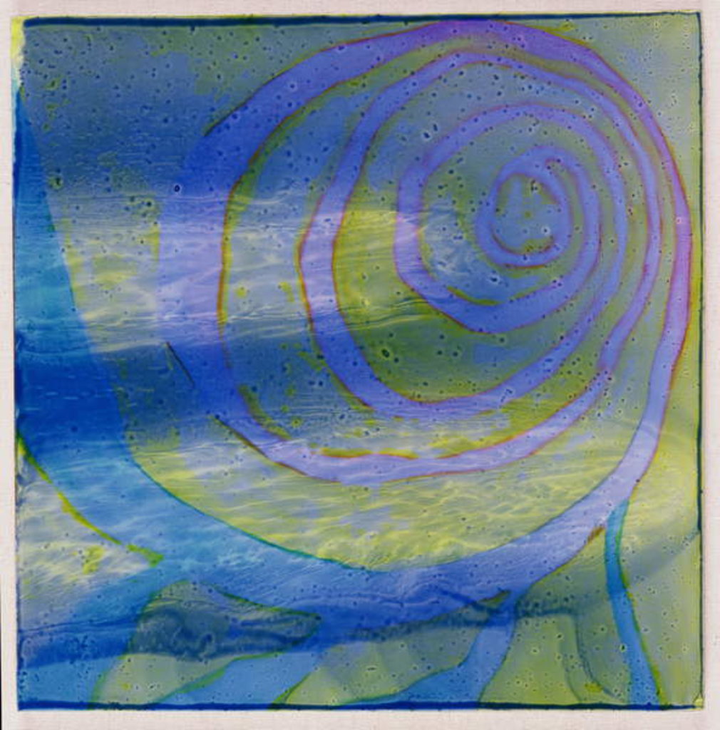 Detail of Boodhoo Lagoon, 2000 by Charlotte Johnstone