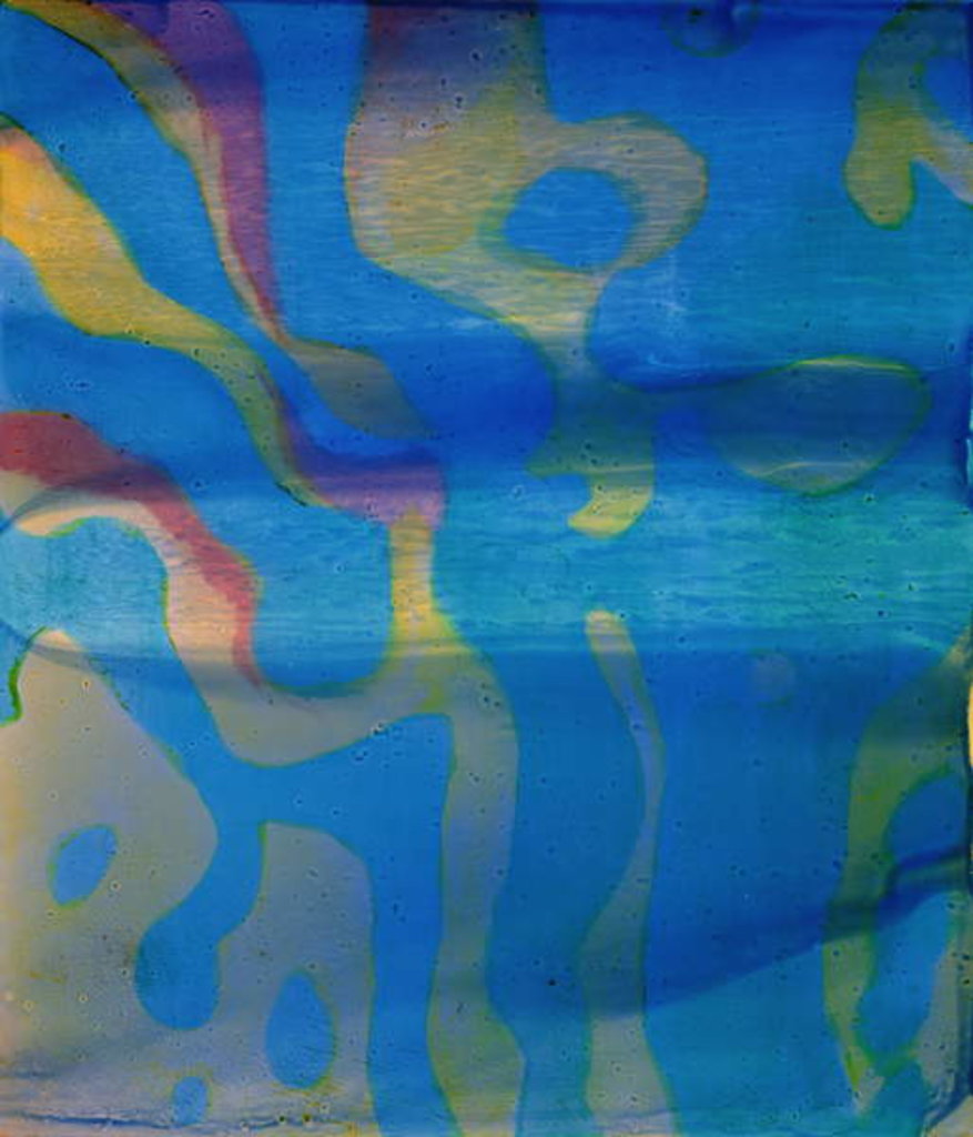 Detail of Indian Swarthy, 2000 by Charlotte Johnstone